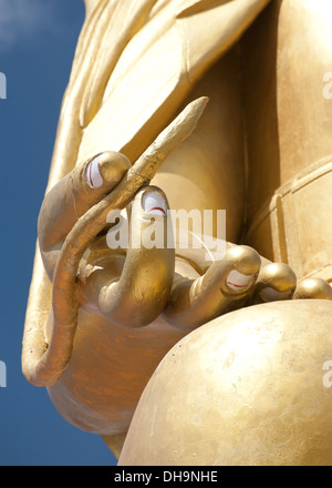 Buddha`s hand with lotus flower. Golden Buddha statue in Tibetan Monastery. India Stock Photo